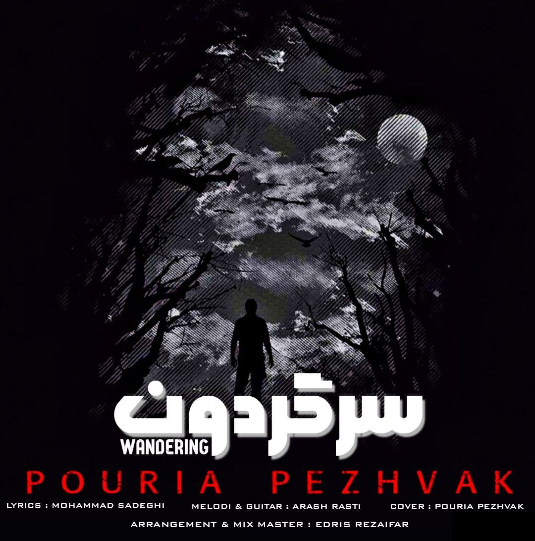 دانلود آهنگ پوریا پژواک سرگردون